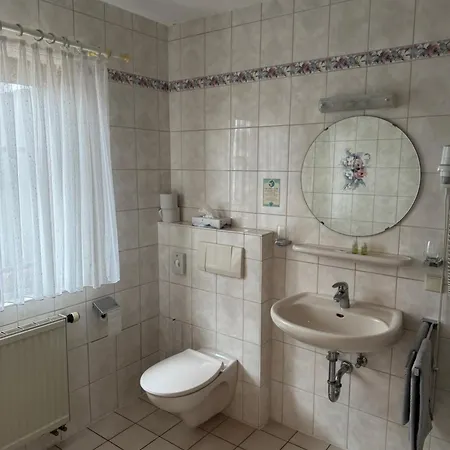 Hotel Grüner Baum *