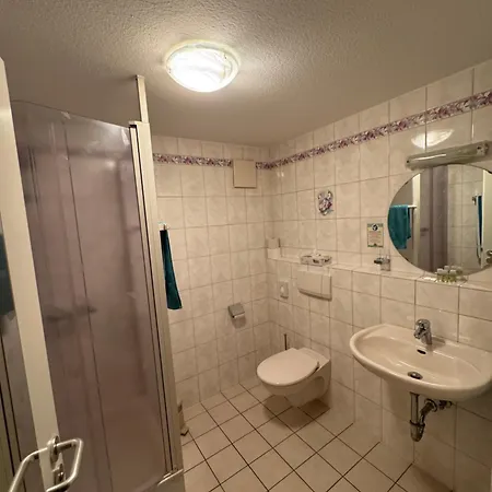 Hotel Grüner Baum Rastatt